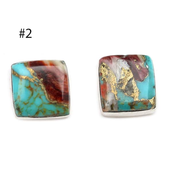 Zuni Spiny Bronze Earrings (click for color descriptions)