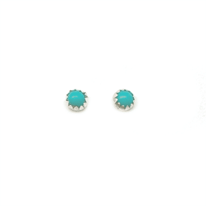 Small Turquoise Stud Post Earrings