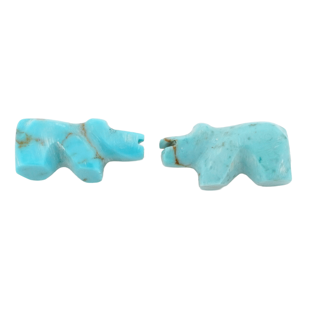 Turquoise Fetish Earring