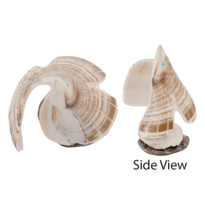 Carved Shell Eagle