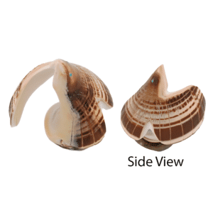 Carved Shell Eagle